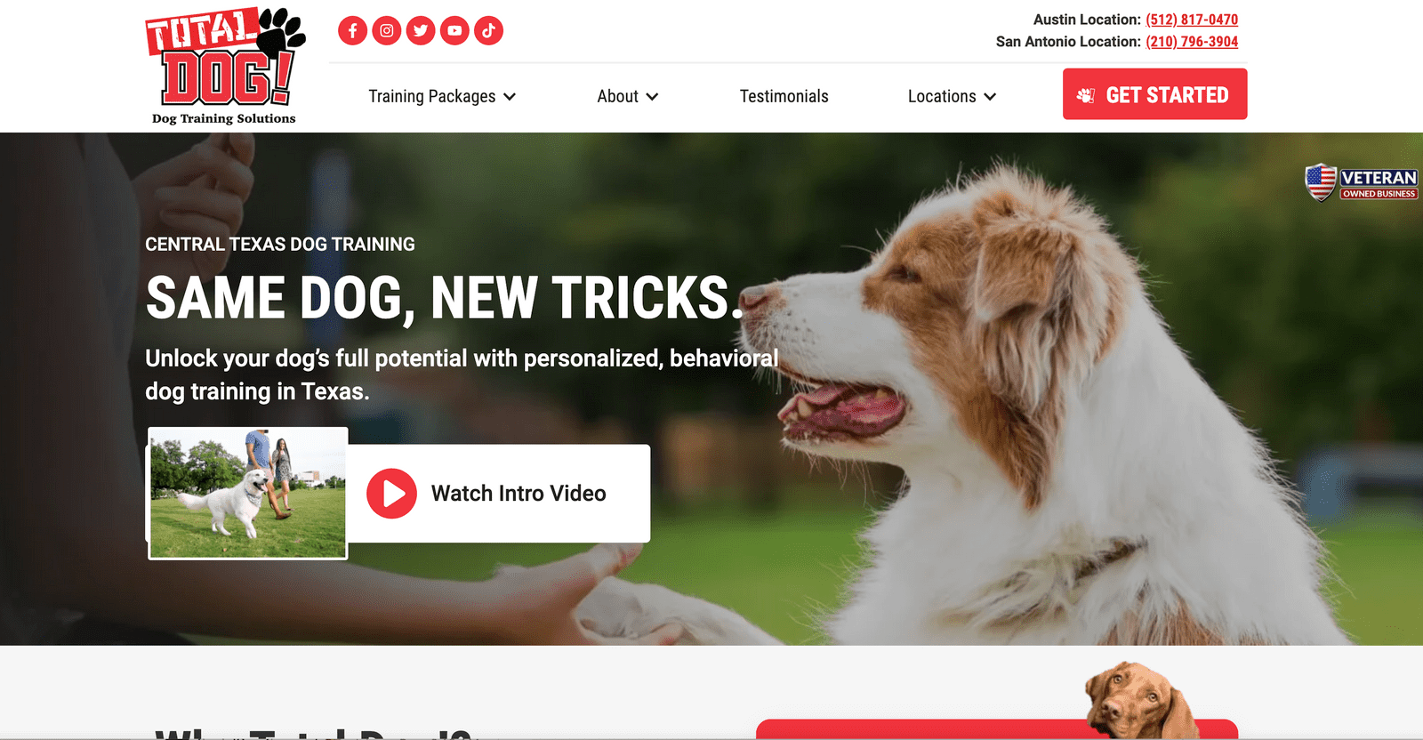 total-dog-website
